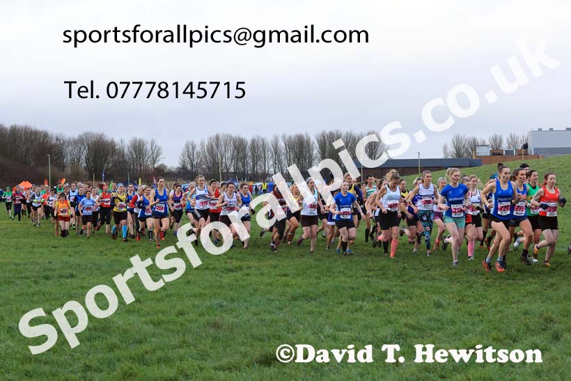 Senior womens 2023 North Eastern Cross Country Champs., Temple Park, South Shields. Photo: David T. Hewitson/Sports for All Pics